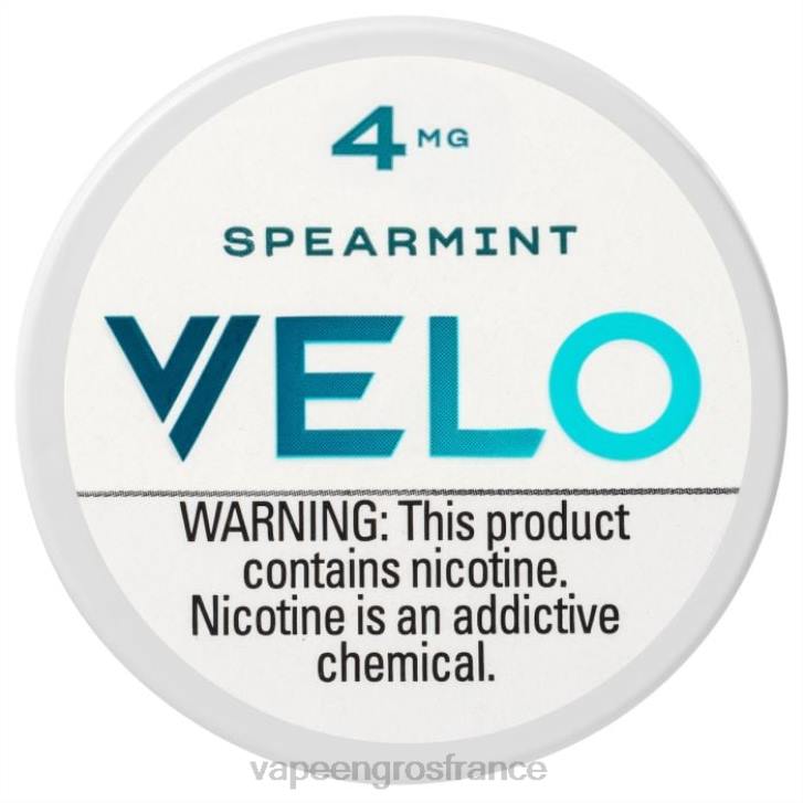 02JZ40 - Vape En Gros France menthe verte VELO sachet de nicotine 4mg
