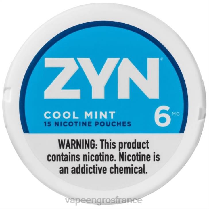 02JZ16 - Vapoteuse En Gros menthe fraîche ZYN sachet de nicotine 6mg