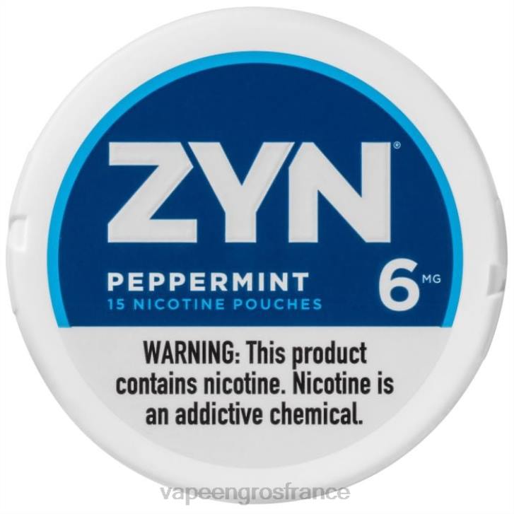 02JZ18 - Vape France Promotion menthe poivrée ZYN sachet de nicotine 6mg