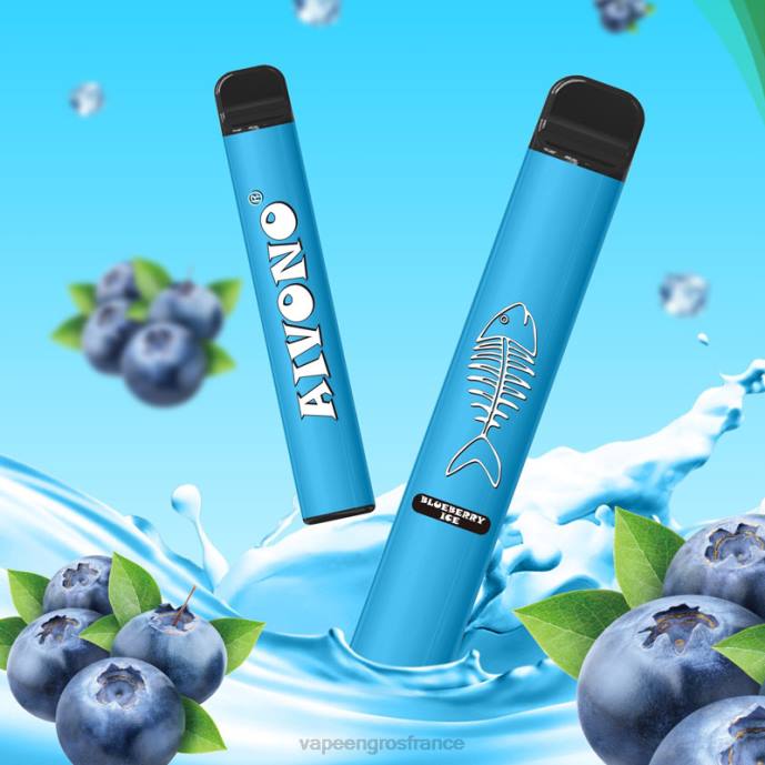 glace aux myrtilles