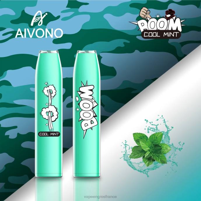 Aivono AIM BOOM 600 menthe fraîche - 80H8357 Vapoteuse En Gros