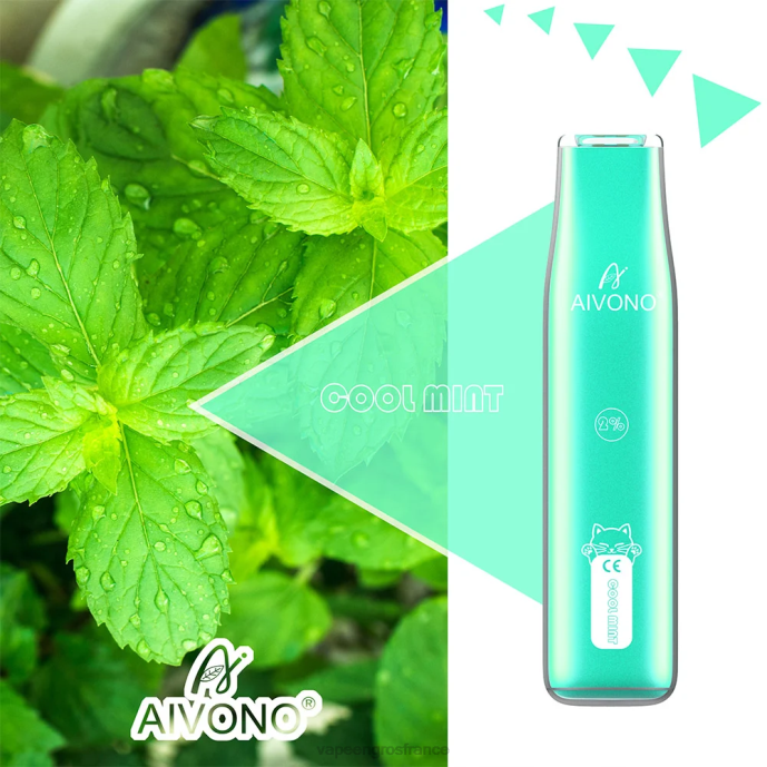 menthe fraîche