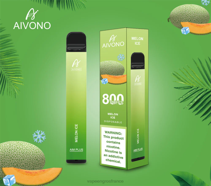 glace au melon