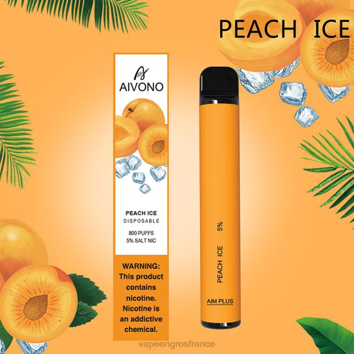 glace à la pêche