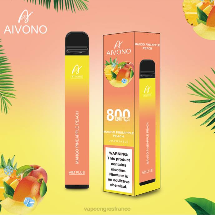 mangue ananas pêche