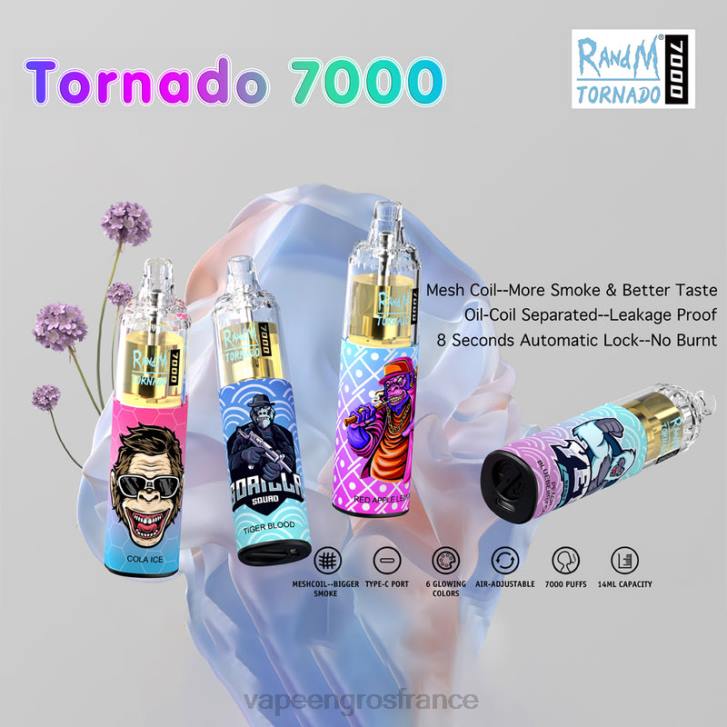 02JZ1 - Vape France Paris jetable RandM Tornado 7000 5%