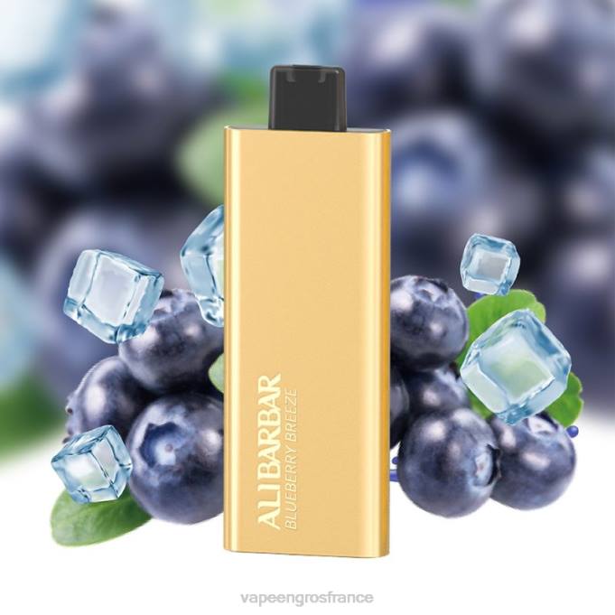 Vape France Paris LZ6J51 Alibarbar Pandora 7000 vapes jetables brise de myrtille