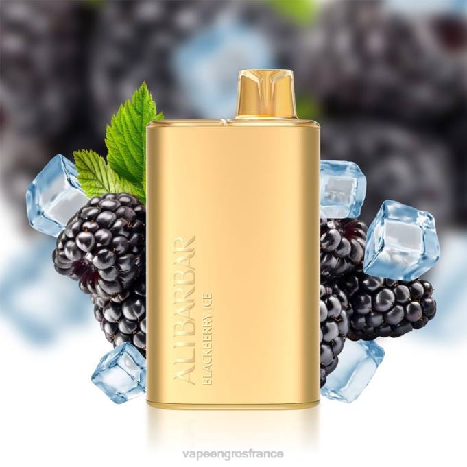 Eliquide France LZ6J10 Alibarbar Rich 8000 vapes jetables glace aux mûres