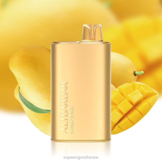 Vapoteuse En Gros LZ6J7 Alibarbar Rich 8000 vapes jetables magie de la mangue
