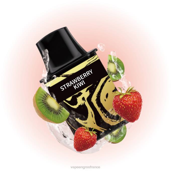 Vape France Paris LZ6J79 Alibarbar Flare vape rechargeable double pomme