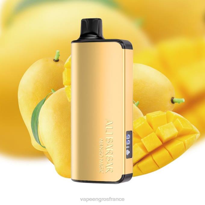 Eliquide En Gros LZ6J48 Alibarbar Ingot 20000 vapes jetables magie de la mangue