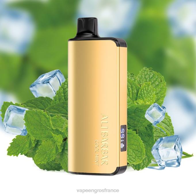 Vapoteuse En Gros LZ6J35 Alibarbar Ingot 20000 vapes jetables menthe fraîche