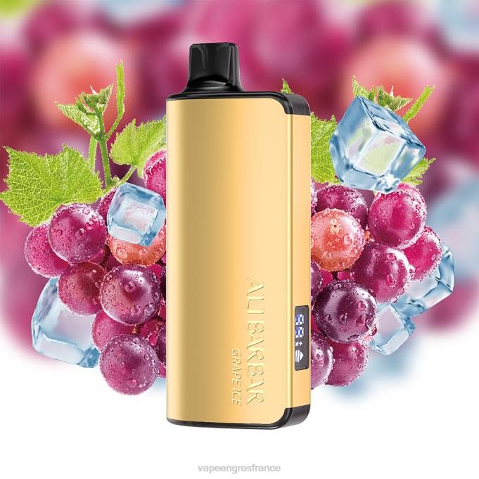 Eliquide En Gros LZ6J20 Alibarbar Ingot 9000 vapes jetables glace aux raisins