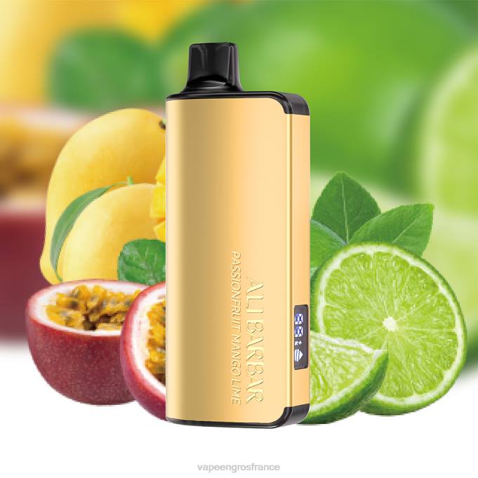 Vape En Gros France LZ6J22 Alibarbar Ingot 9000 vapes jetables fruit de la passion mangue citron vert