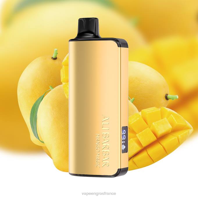 Vape En Gros France LZ6J29 Alibarbar Ingot 9000 vapes jetables magie de la mangue