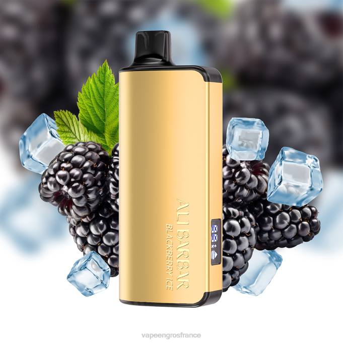 Vapoteuse En Gros LZ6J21 Alibarbar Ingot 9000 vapes jetables ananas kiwi