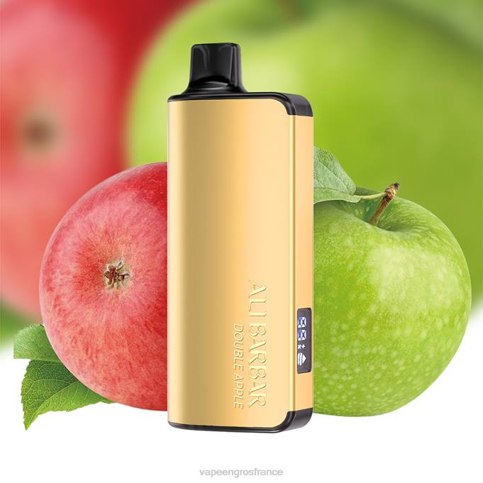 Vapoteuse En Gros LZ6J28 Alibarbar Ingot 9000 vapes jetables double pomme