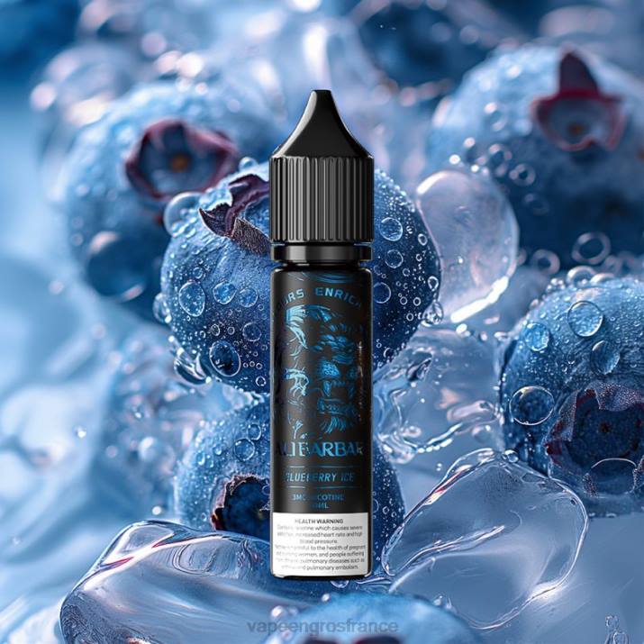 Vape En Gros France glace aux myrtilles - Alibarbar quai d'onyx de narguilé 644D104