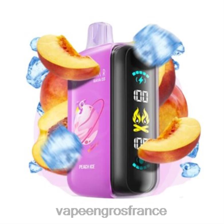 Elf Bar Raya D3 25000 - 2H2R41 jetable Vape En Gros France