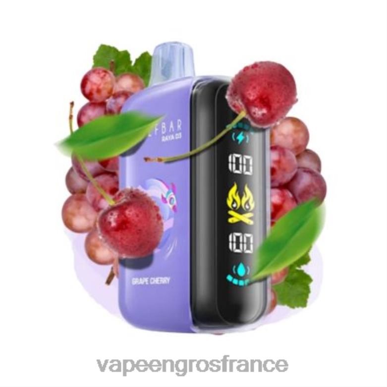 Elf Bar Raya D3 25000 - 2H2R41 jetable Vape En Gros France