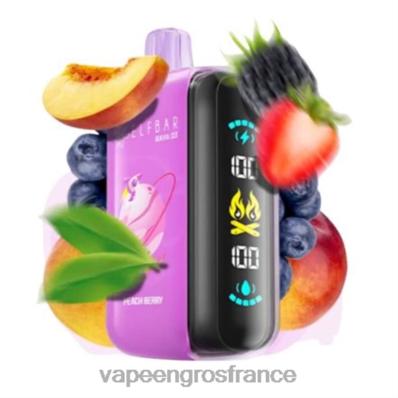 Elf Bar Raya D3 25000 - 2H2R41 jetable Vape En Gros France