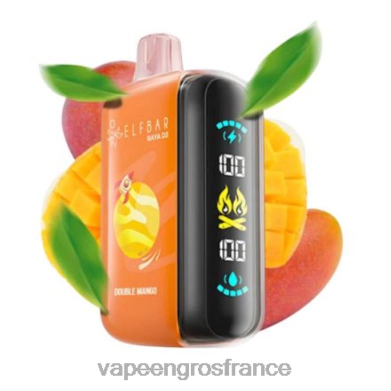 Elf Bar Raya D3 25000 - 2H2R41 jetable Vape En Gros France