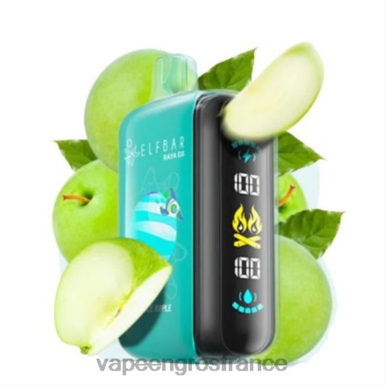 Elf Bar Raya D3 25000 - 2H2R41 jetable Vape En Gros France