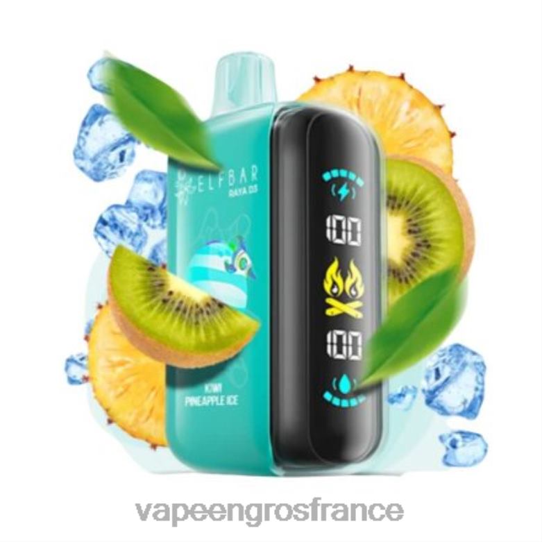 Elf Bar Raya D3 25000 - 2H2R41 jetable Vape En Gros France