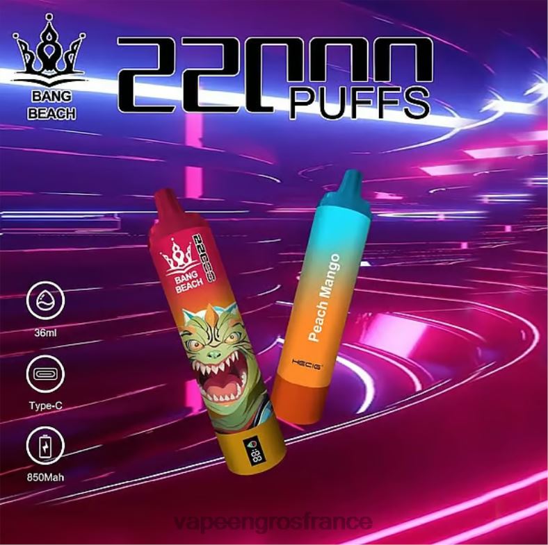 Bang Beach Écran intelligent de 22 000 bouffées 260HZ24 - Cigarette Electronique France pêche mangue