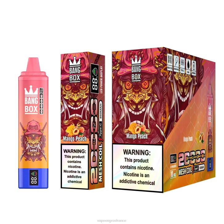 02JZ128 - Vape France Promotion pêche à la mangue Bang Box 20000