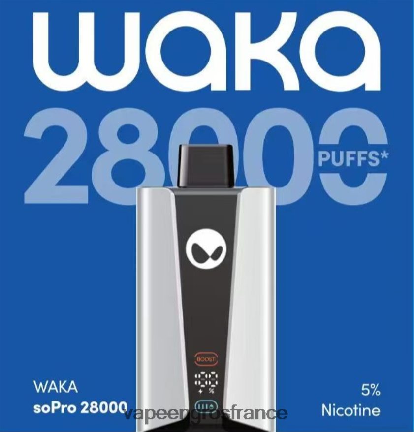 Vape En Gros France F8HBF831 - multi-saveur RELX WAKA SoPro 28000