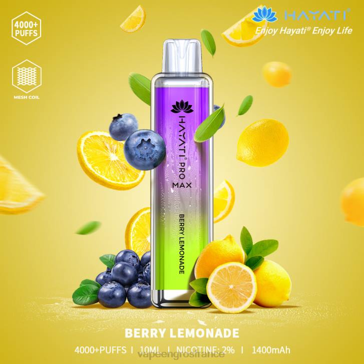 limonade aux baies