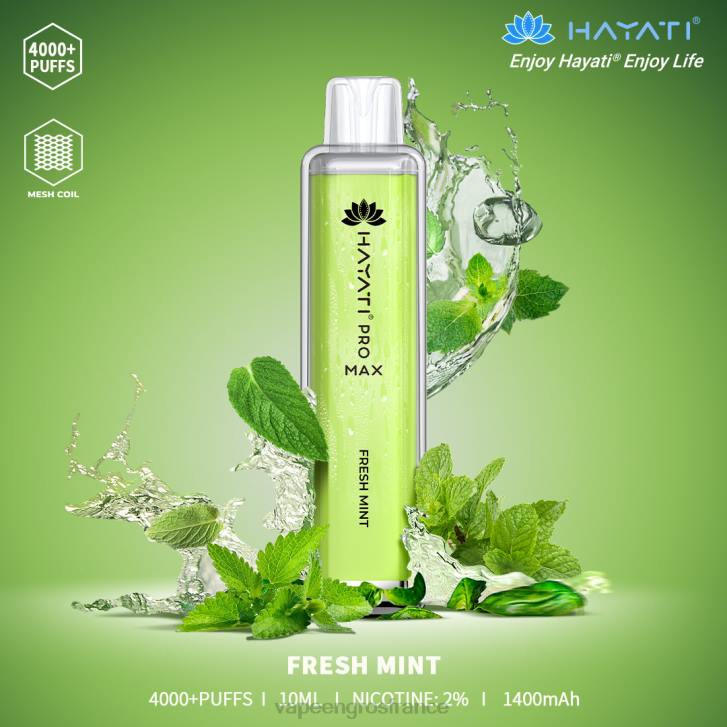 02JZ158 - Vape France Promotion menthe fraîche Hayati Pro Max 4000