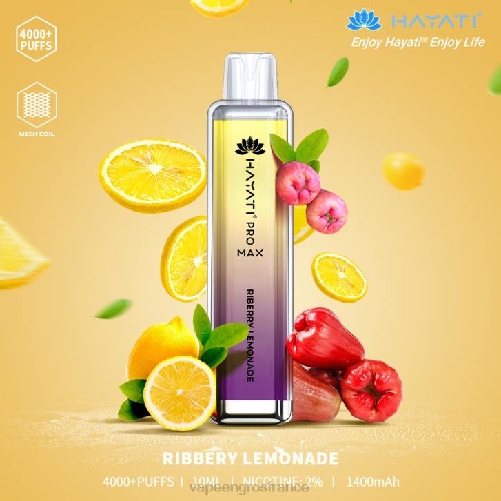 limonade aux baies