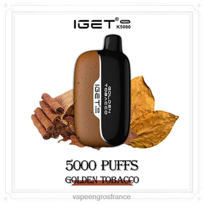 Vape En Gros France XF0JJ1 tabac doré IGET Moon k5000
