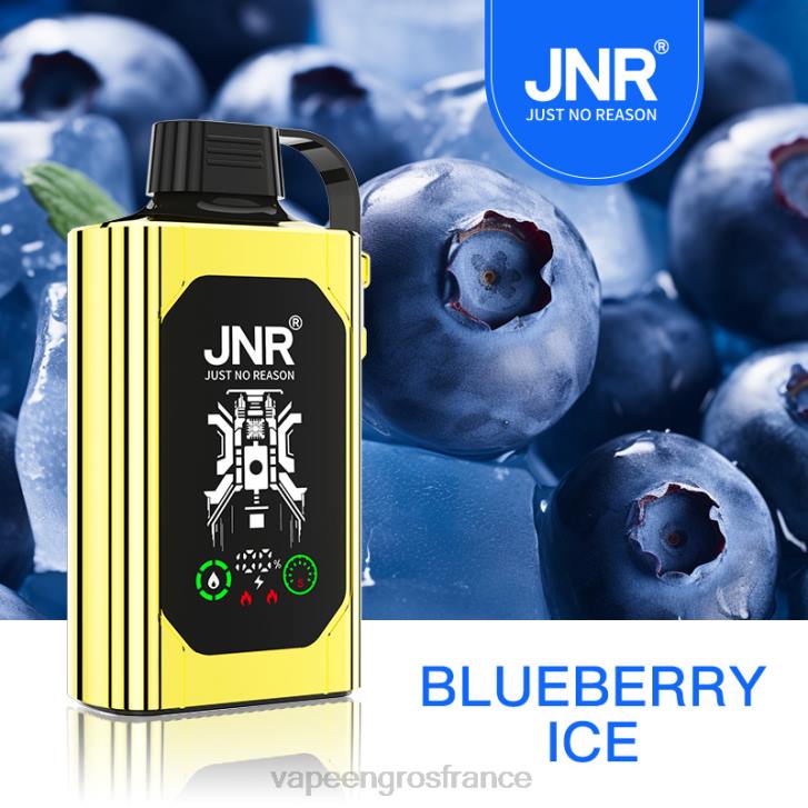 02JZ617 - Vape France Prix glace aux myrtilles JNR SHISHA BOX