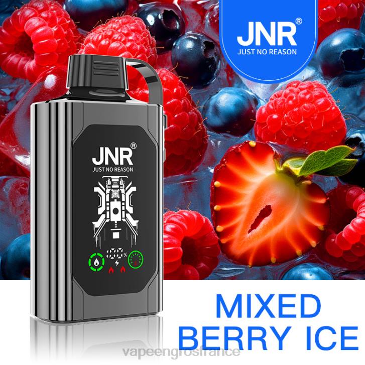 02JZ625 - Eliquide En Gros glace aux fruits mélangés JNR SHISHA BOX