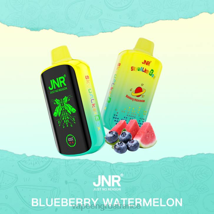 02JZ586 - Vapoteuse En Gros pastèque aux bleuets JNR SKYWALKER BOX