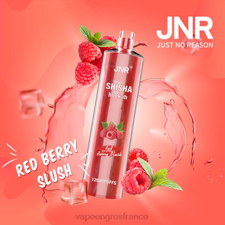 barbotine aux fruits rouges