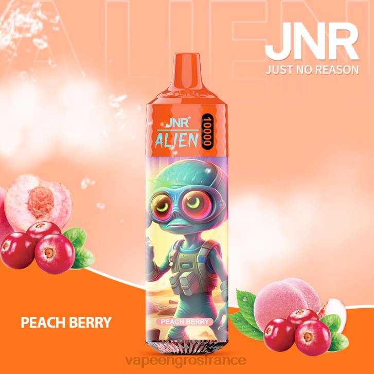 02JZ655 - Eliquide En Gros baie de pêche JNR ALIEN