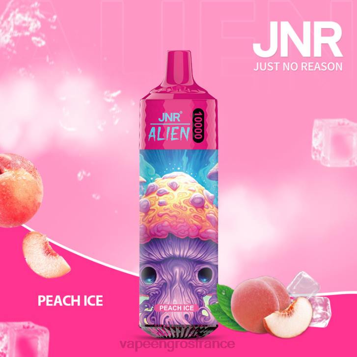 02JZ657 - Vape France Prix glace à la pêche JNR ALIEN