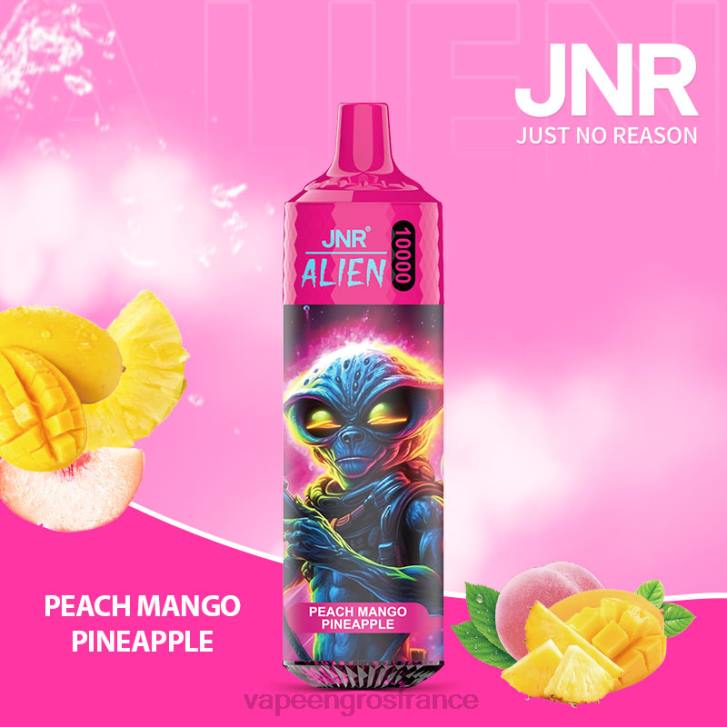 02JZ658 - Vape France Promotion pêche mangue ananas JNR ALIEN