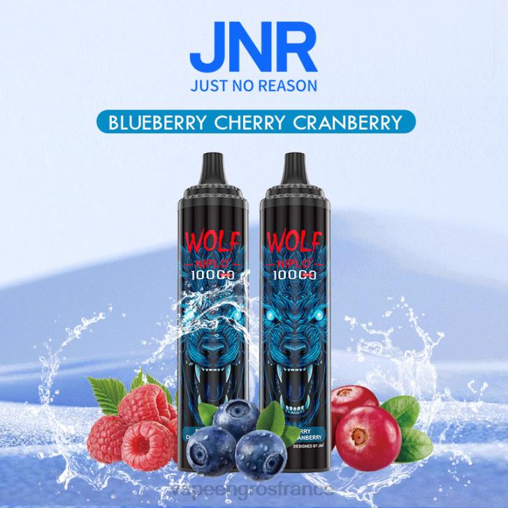 02JZ760 - Vape En Gros France myrtille cerise canneberge JNR WOLF NIPLO