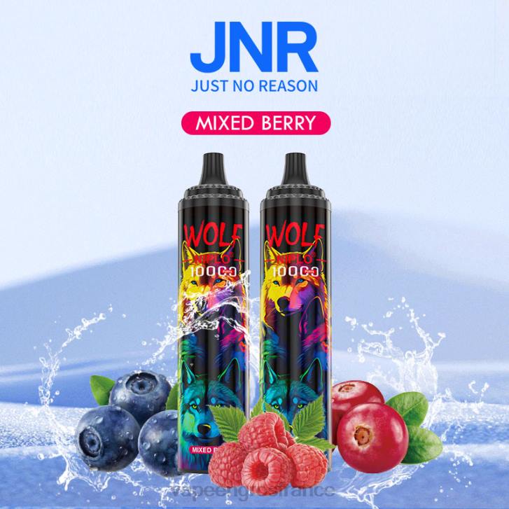 02JZ765 - Eliquide En Gros baies mélangées JNR WOLF NIPLO