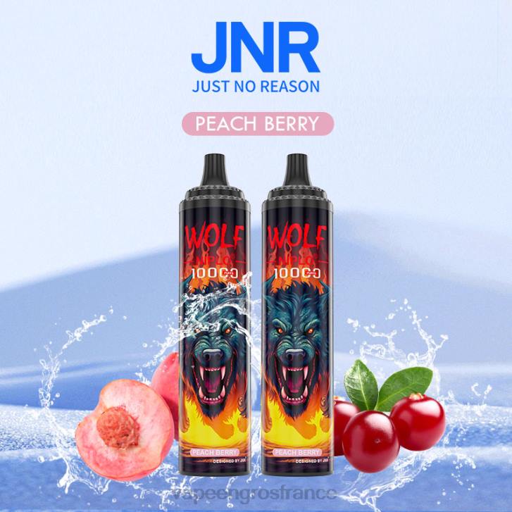 02JZ768 - Vape France Promotion baie de pêche JNR WOLF NIPLO
