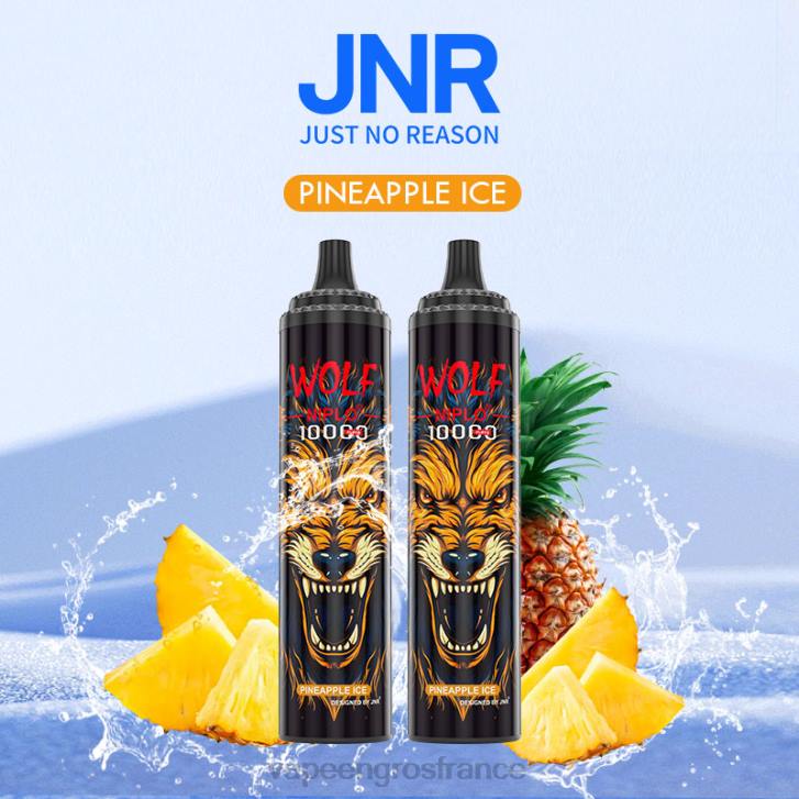 02JZ769 - Vape France Online glace à l'ananas JNR WOLF NIPLO