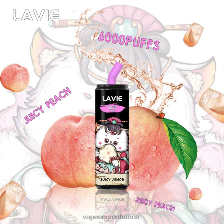 LAVIE Coke BAR 6000 bouffées 480L0271 | Vape En Gros France pêche juteuse