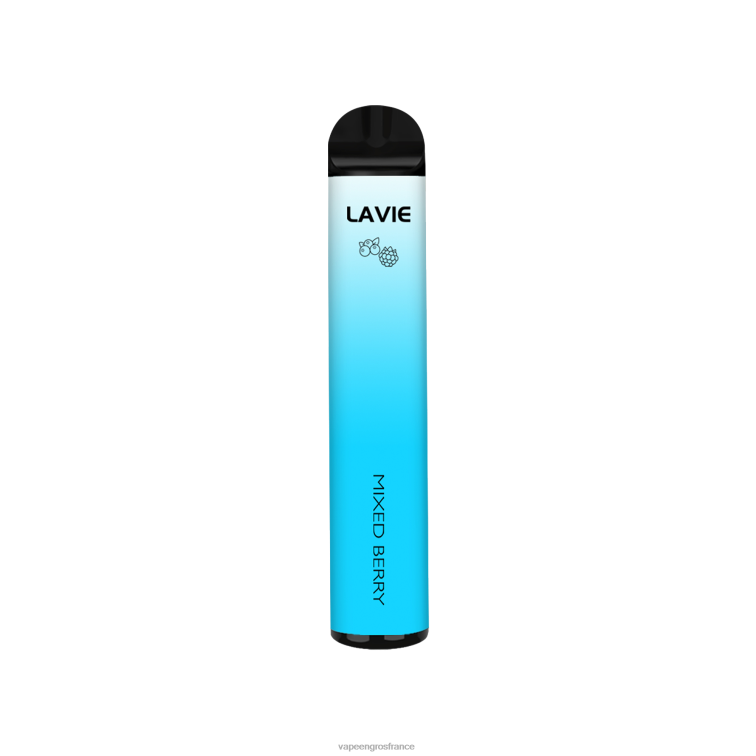 LAVIE BAR 1600 bouffées 480L0305 | Cigarette Electronique En Gros baies mélangées