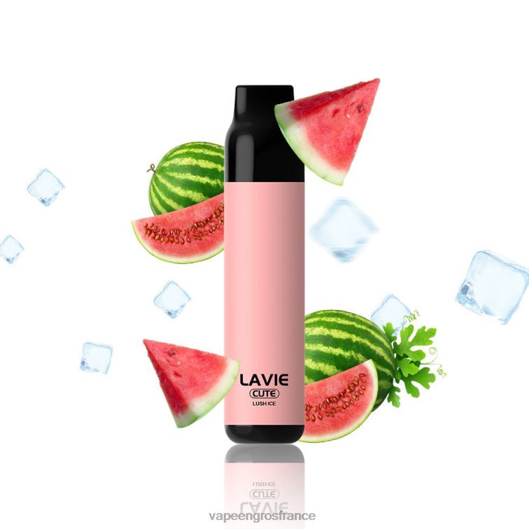 LAVIE BAR 3000 bouffées 480L0285 | Cigarette Electronique En Gros glace luxuriante