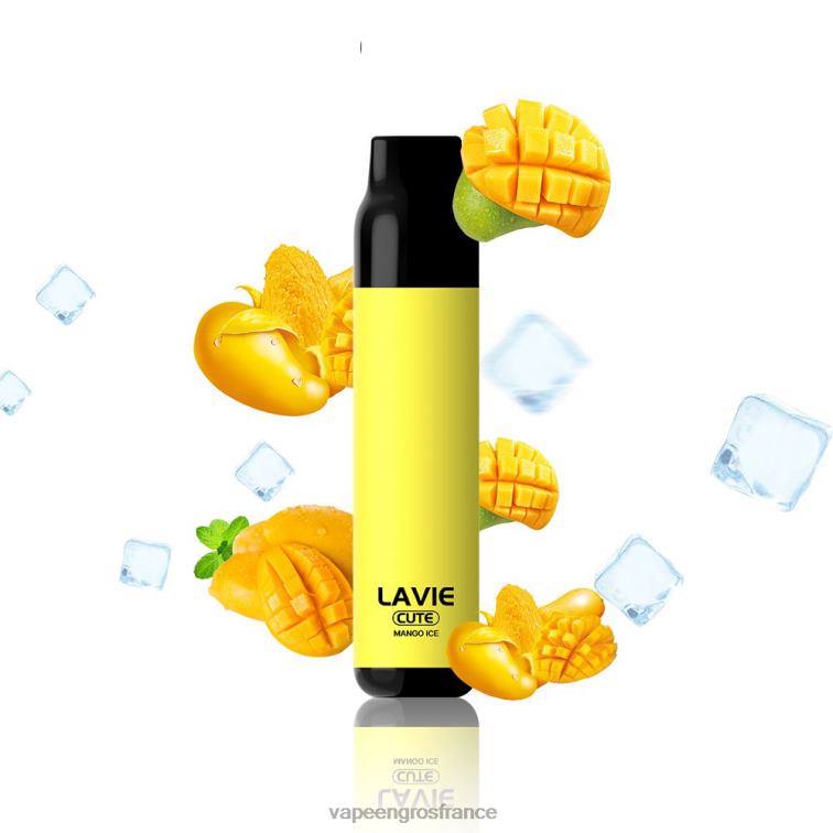 LAVIE BAR 3000 bouffées 480L0287 | Vapoteuse En Gros glace à la mangue